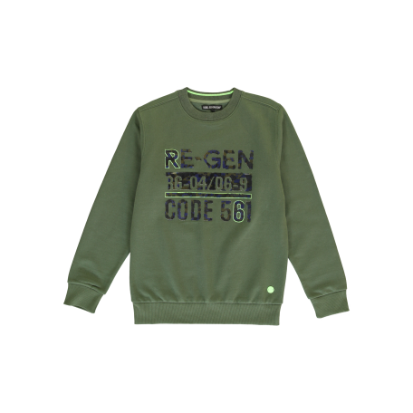 Sweatshirt | Teen Boys | 10 pcs